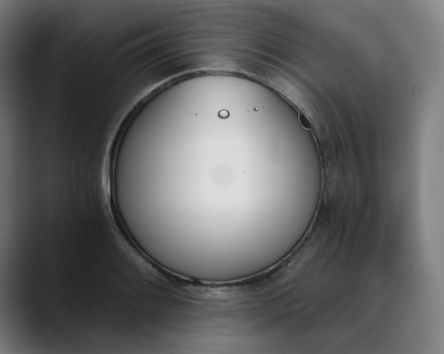 X0000089831084200707121636