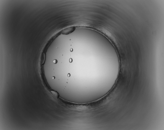 X0000089831085200707121636