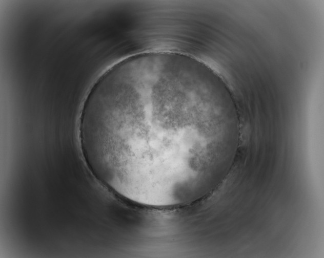 X0000089831086200707121636