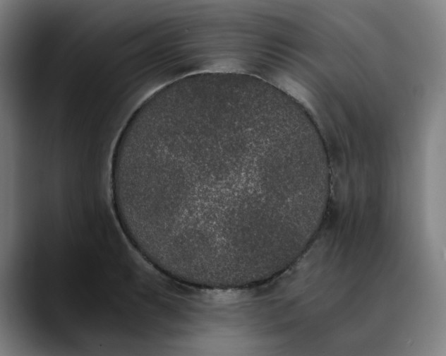 X0000089831087200707121636