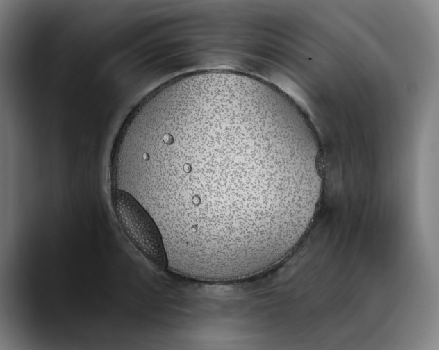 X0000089831088200707121636