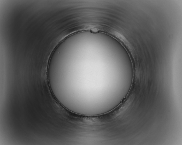 X0000089831089200707121636