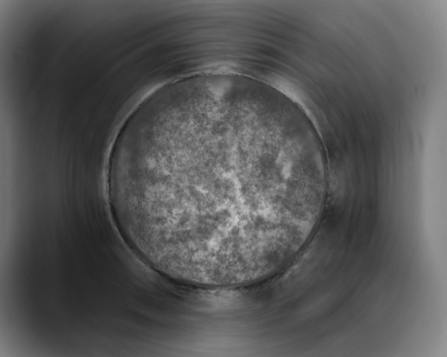 X0000089831090200707121636