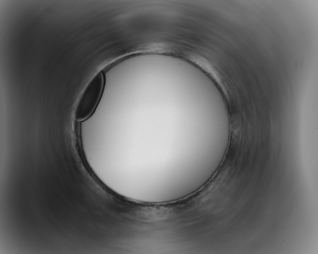 X0000089831091200707121636