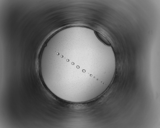 X0000089831092200707121636