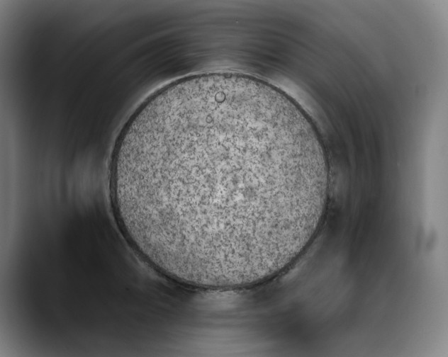 X0000089831094200707121636