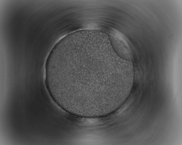 X0000089831095200707121636