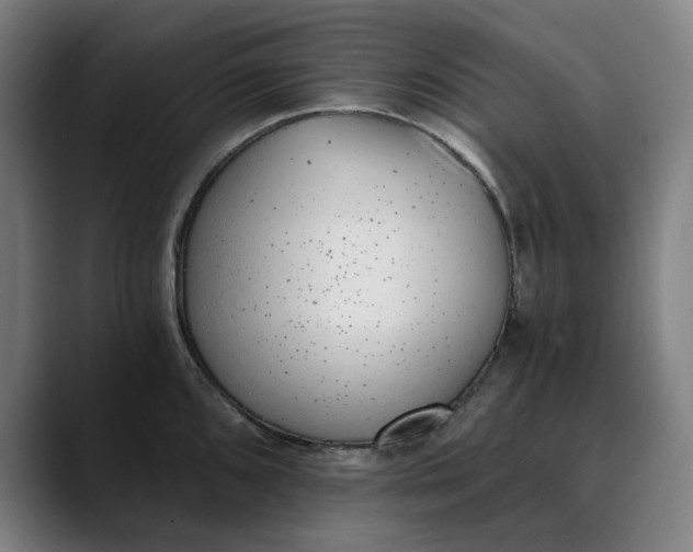 X0000089831096200707121636