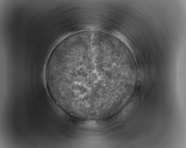 X0000089831098200707121636