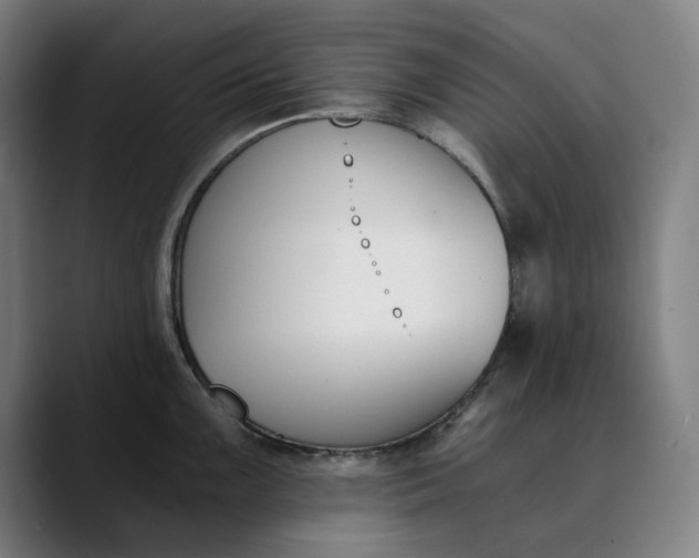 X0000089831099200707121636