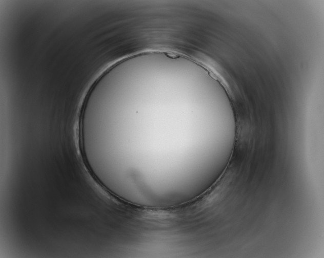 X0000089831100200707121636