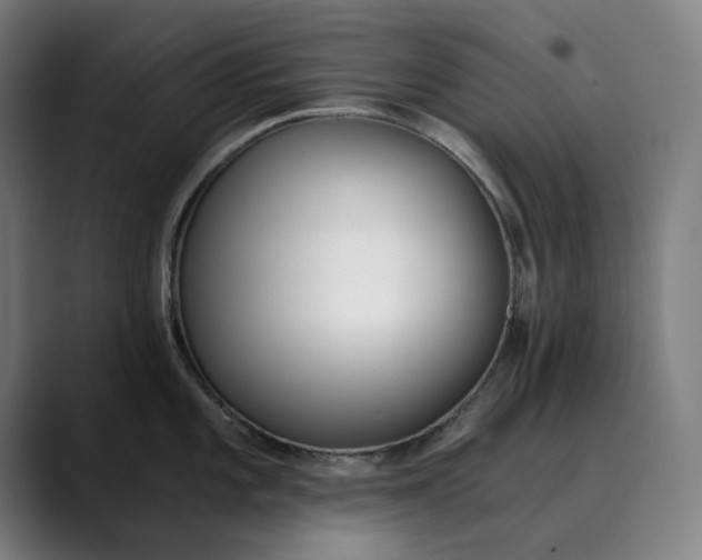 X0000089831101200707121636