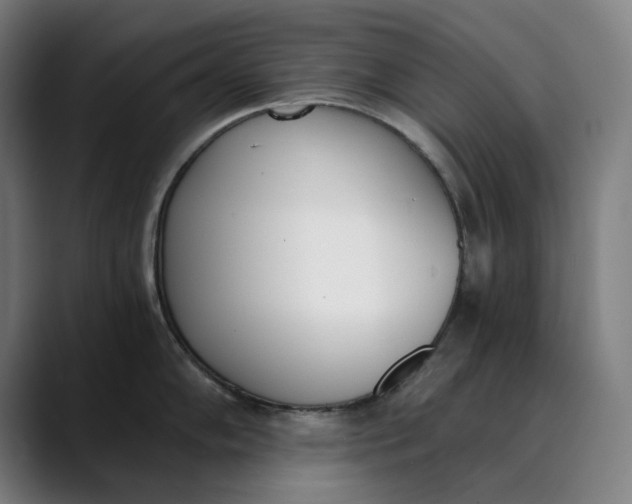 X0000089831102200707121636