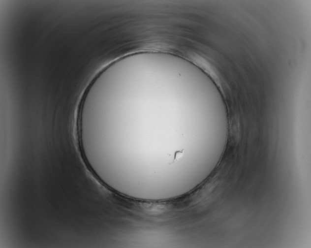 X0000089831103200707121636