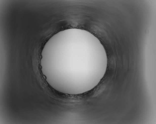 X0000089831105200707121635