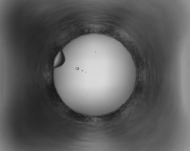 X0000089831109200707121635