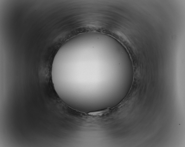 X0000089831110200707121635