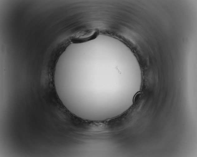 X0000089831112200707121635