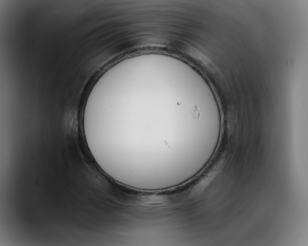 X0000089831113200707121635