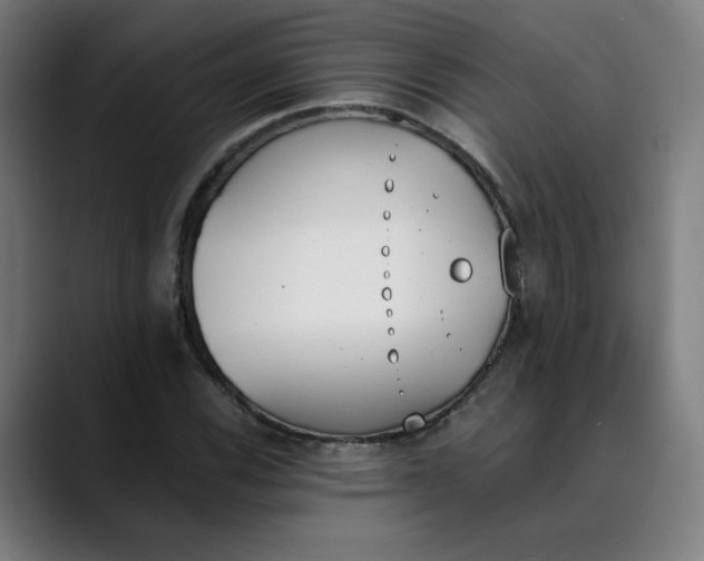 X0000089831116200707121635