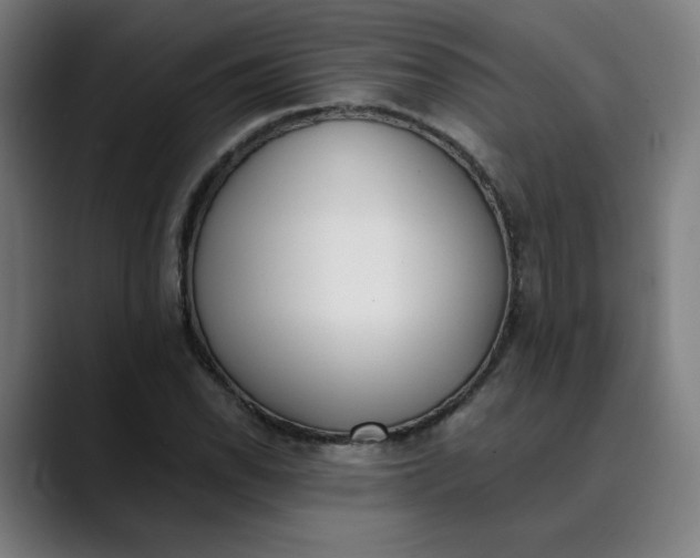 X0000089831118200707121635