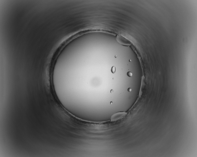 X0000089831120200707121636