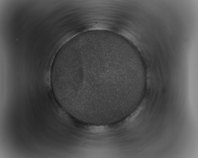 X0000089831121200707121636