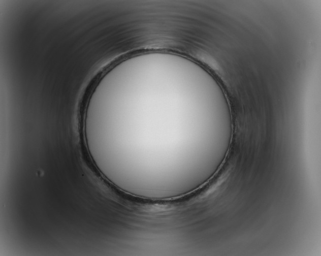 X0000089831122200707121636