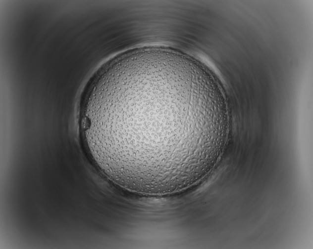 X0000089831124200707121636