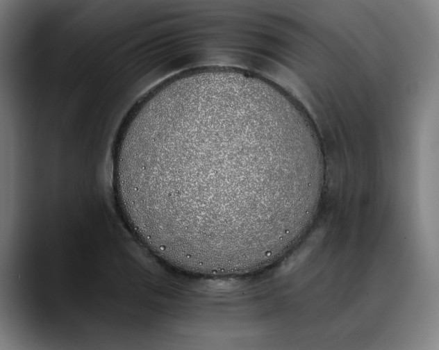 X0000089831125200707121636