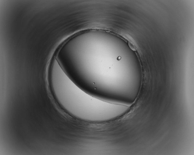 X0000089831128200707121636