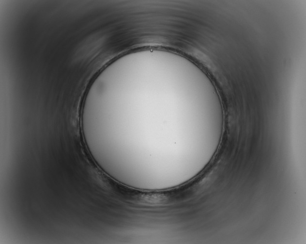 X0000089831129200707121636