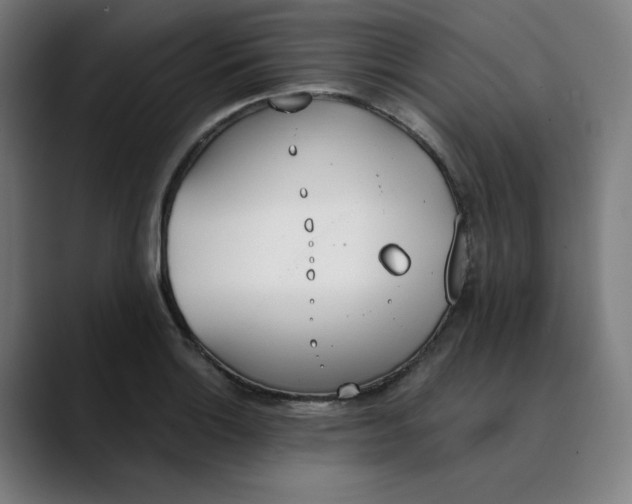 X0000089831132200707121636