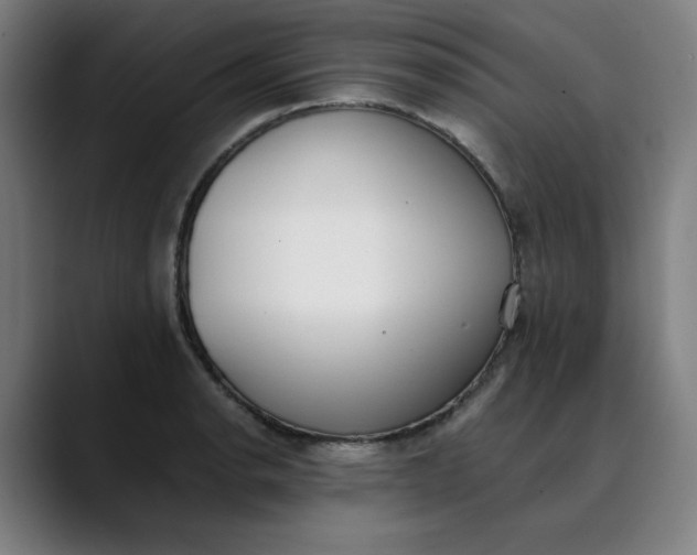 X0000089831134200707121636