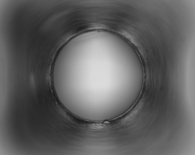 X0000089831137200707121636