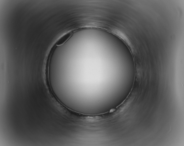 X0000089831138200707121636