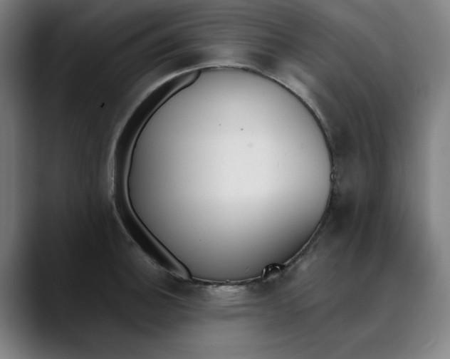 X0000089831140200707121636