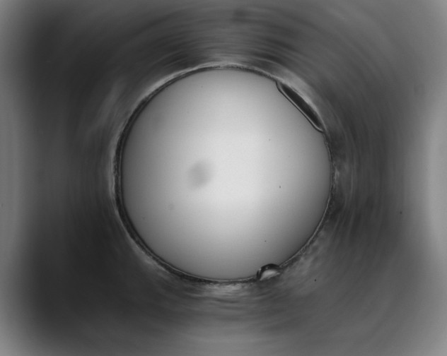 X0000089831143200707121636