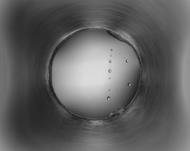 X0000089831144200707121636