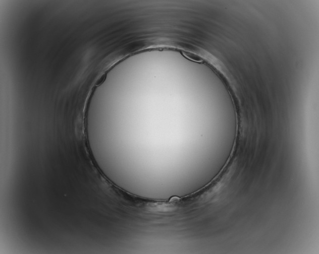 X0000089831145200707121636