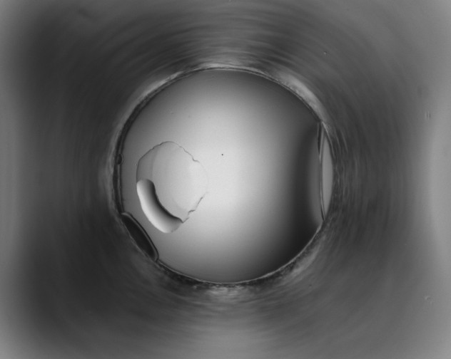 X0000089831146200707121636