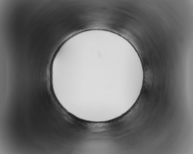 X0000089831150200707121636