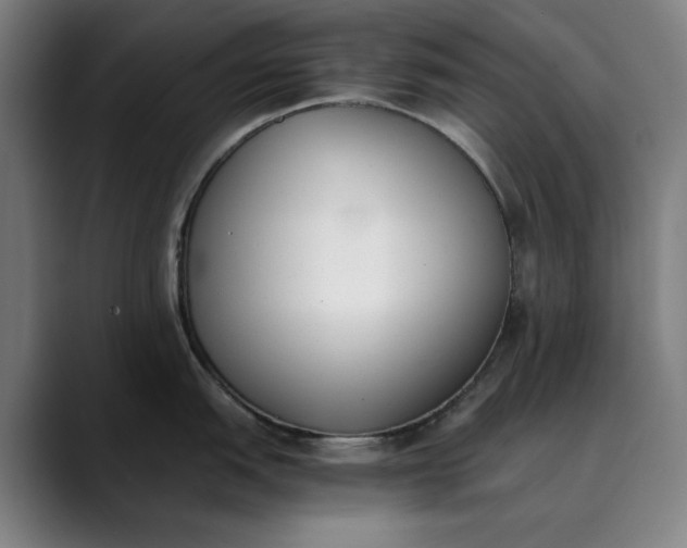 X0000089831151200707121636