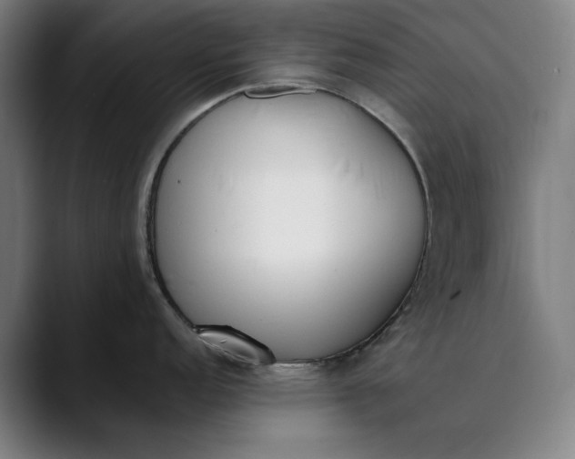 X0000089831152200707121636