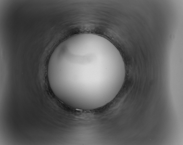 X0000089831153200707121635