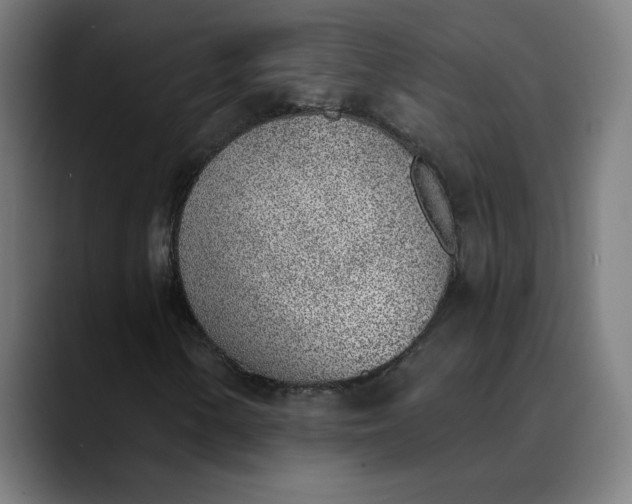 X0000089831154200707121635