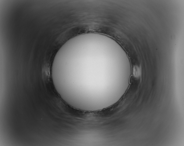 X0000089831155200707121635