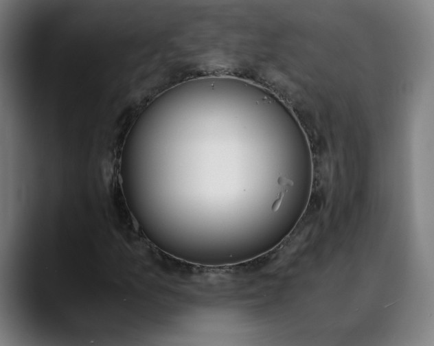 X0000089831157200707121635