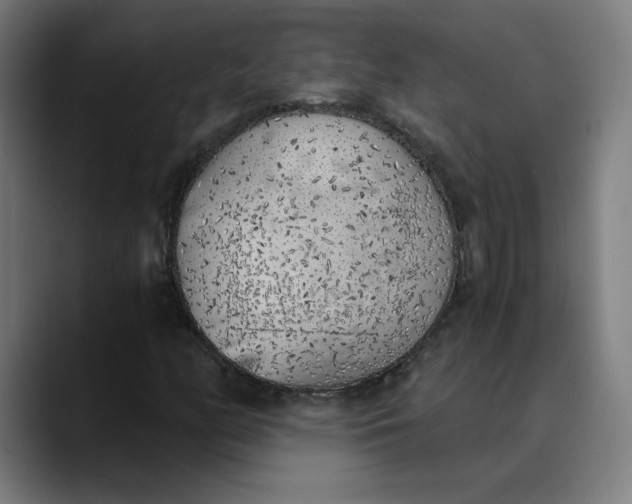 X0000089831158200707121635