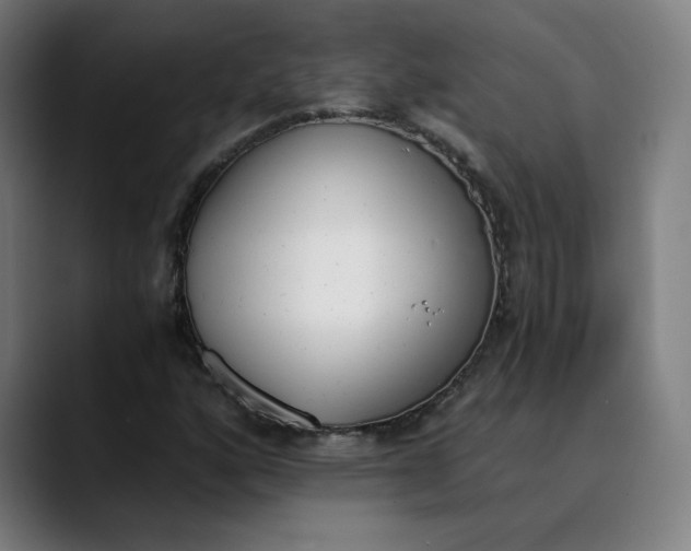 X0000089831160200707121635